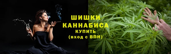 шишки Алексин