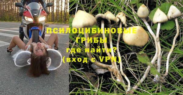 шишки Алексин