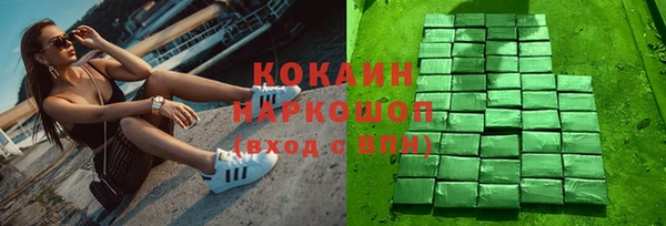 шишки Алексин