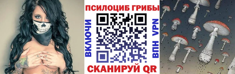 Галлюциногенные грибы Psilocybe маркетплейс Telegram Звенигово MEGA ССЫЛКА