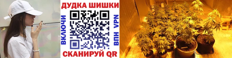 Конопля семена продажа наркотиков Звенигово